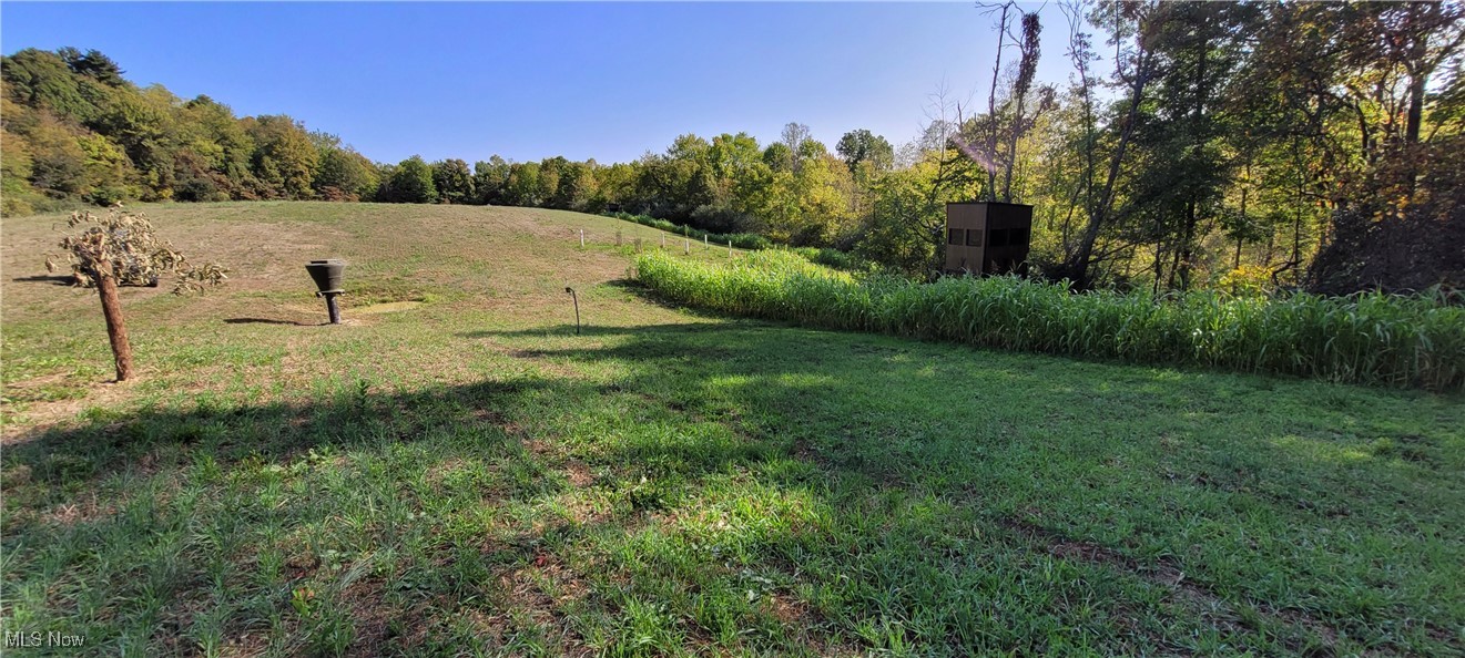 Gilmore Road, Gnadenhutten, Ohio image 1