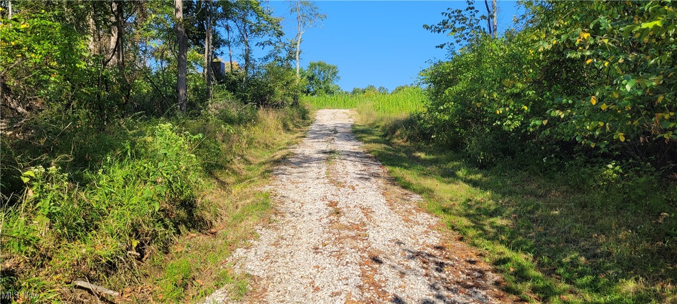 Gilmore Road, Gnadenhutten, Ohio image 6