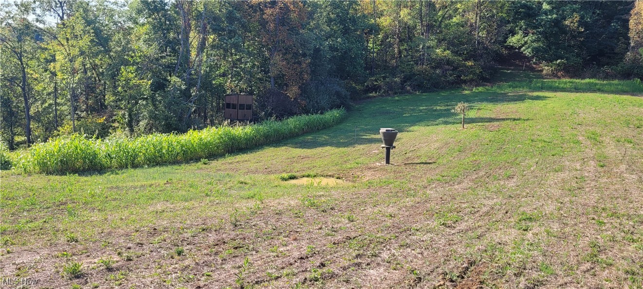 Gilmore Road, Gnadenhutten, Ohio image 8