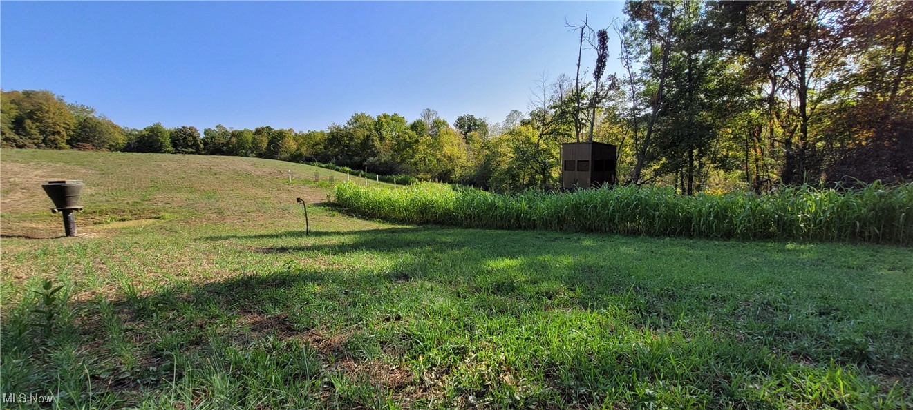 Gilmore Road, Gnadenhutten, Ohio image 15