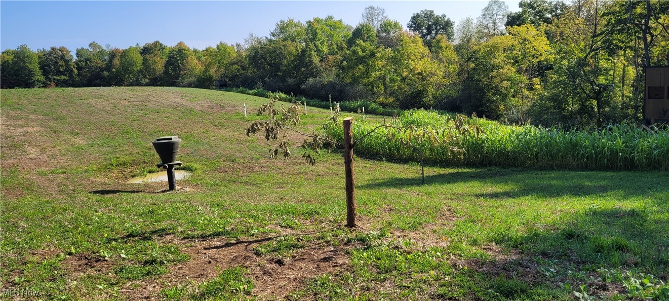 Gilmore Road, Gnadenhutten, Ohio image 14