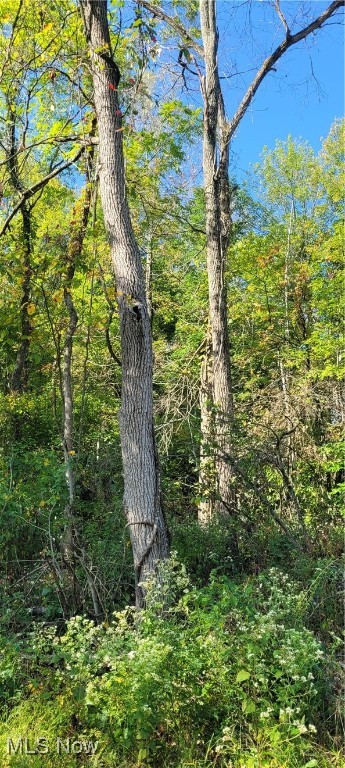 Gilmore Road, Gnadenhutten, Ohio image 7