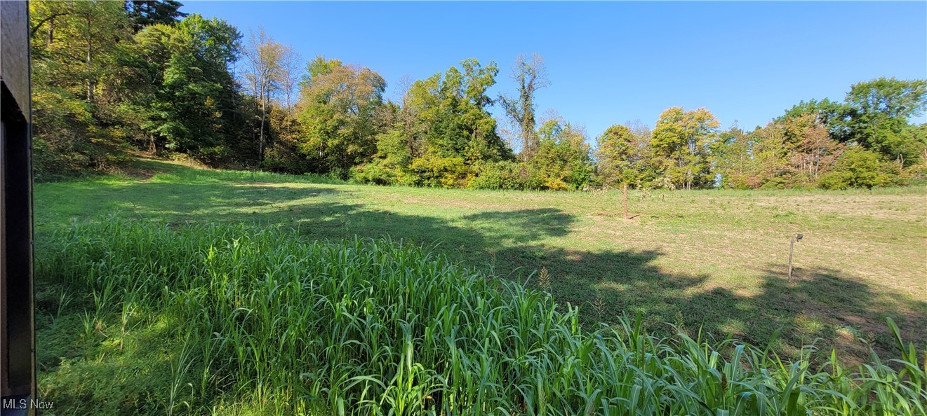 Gilmore Road, Gnadenhutten, Ohio image 18