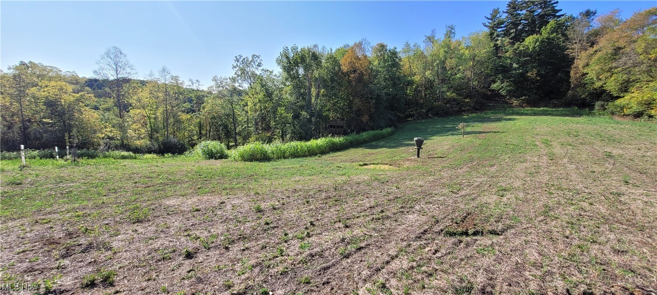 Gilmore Road, Gnadenhutten, Ohio image 9