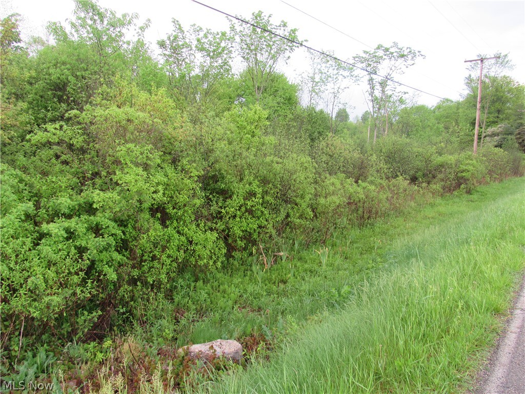 Mcguffey Road, Lowellville, Ohio image 4