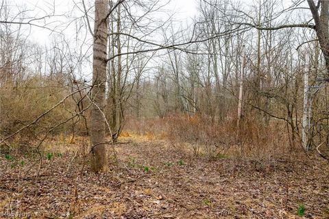 Vacant Land For Sale - 10445 Shannon Road<br/> Frazeysburg, OH 43822
