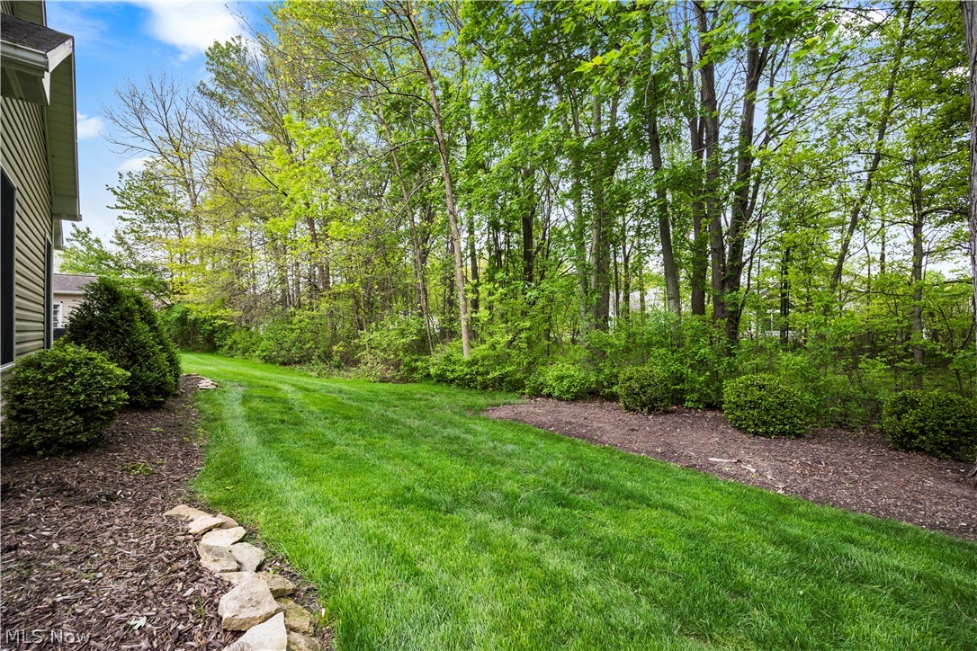 Avon Reserve At Summer Hill - Residential