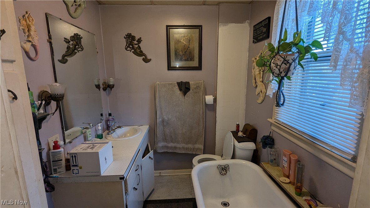 Kenmore Allotment - Commercial Sale