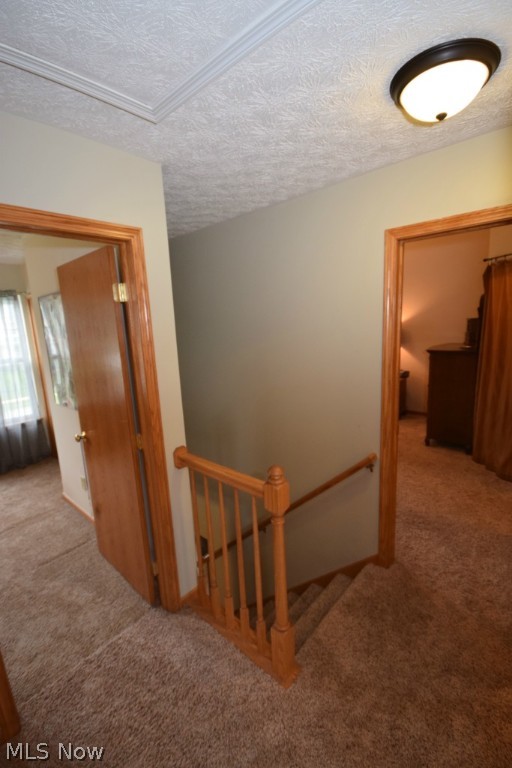 Champmans Farm Ph 01 - Residential