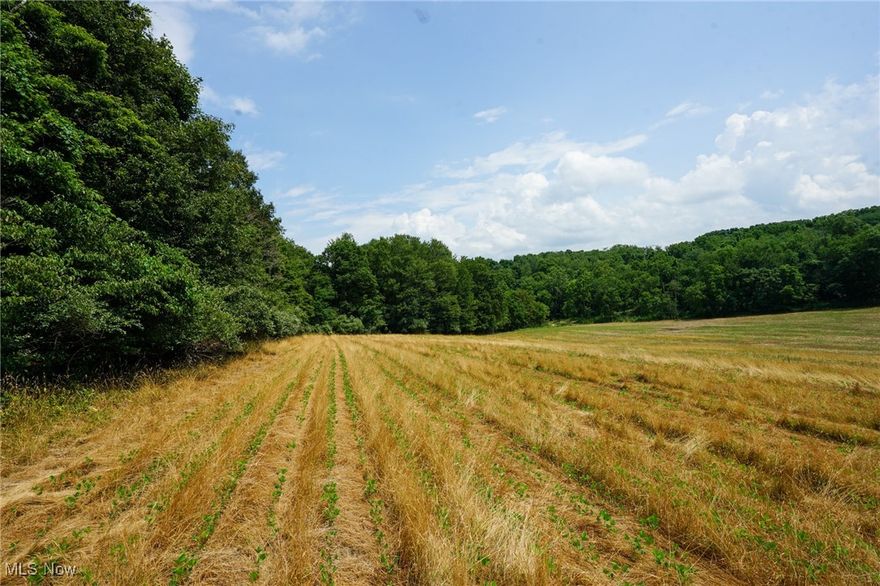 15+/- acres for sale in Perry County, Ohio. Lot 9 of Walnut acres subdivision. Located just outside of the quaint small town of Somerset, Ohio and a easy commute to Columbus. The perfect place for you new home. 

Features of this property include:

- 15 +/- total acres 
- Property is mostly wooded 
- Some tillable
- Good mix of hardwoods
- Gorgeous building site 
- Some trails for access
- Has road frontage and private drive from Township Rd
- Great hunting opportunities 
- Plenty of wildlife and deer sign throughout
- Some protective covenants in place to protect the value and integrity of the land
- Topography is mostly rolling 
- Soil test have been completed and approved
- Additional lots available 

You do not want to miss this opportunity. A gorgeous property and building site in a great location. Come enjoy the peace and quiet of the country. This property will not last long. Annual taxes to be determined once transfered. Call today with any questions or interest, I will be happy to show you around.