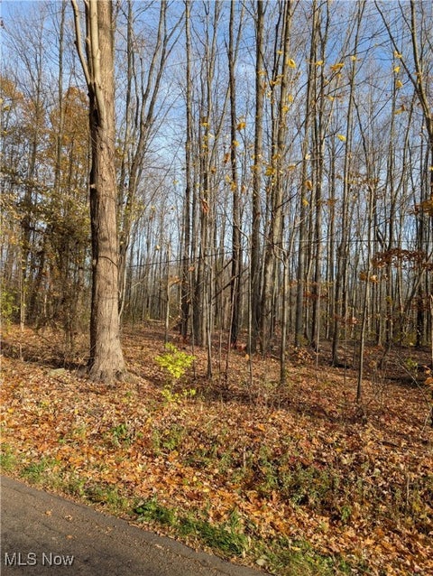 Photo for Lot 10 Wayne Road