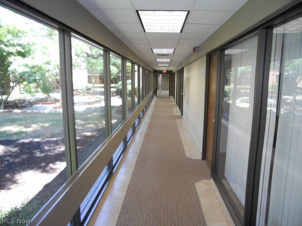Bacon - Commercial Lease