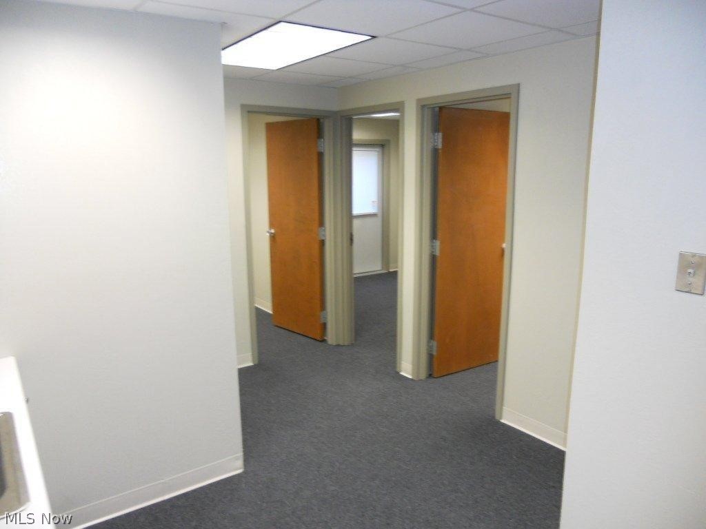 Bacon - Commercial Lease