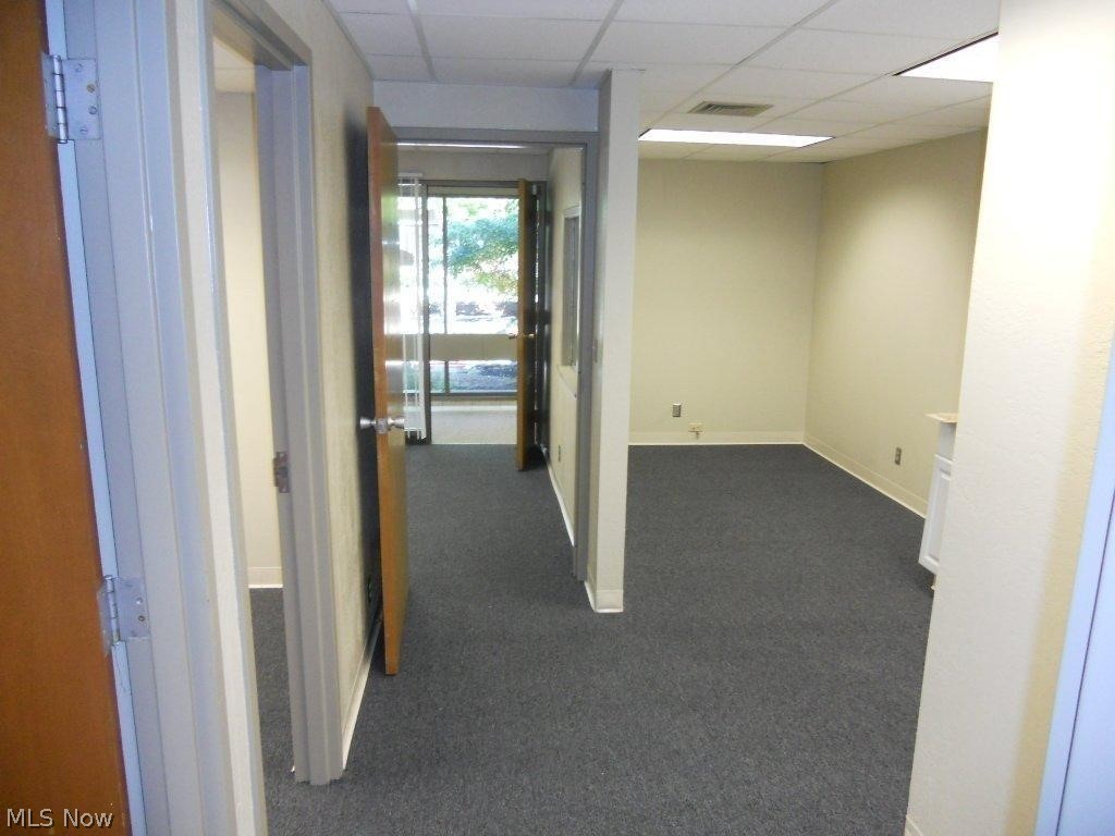 Bacon - Commercial Lease