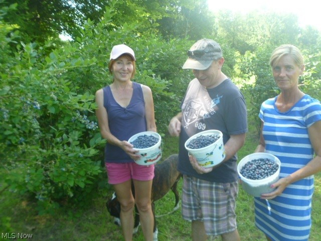 Saybrook - Residential