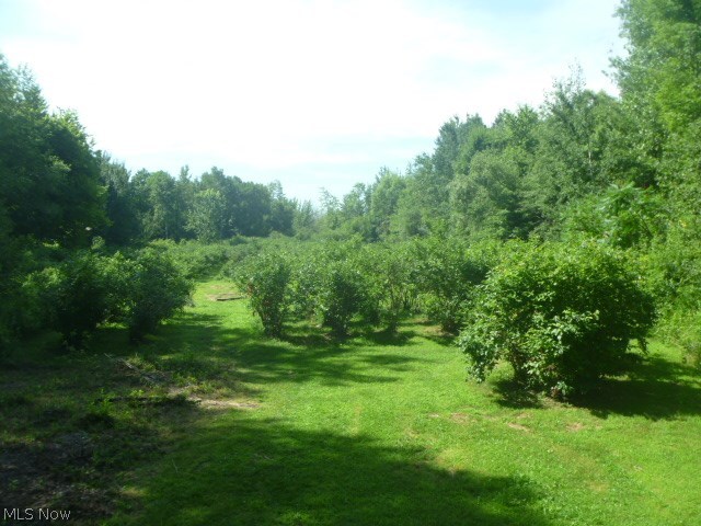 Saybrook - Residential