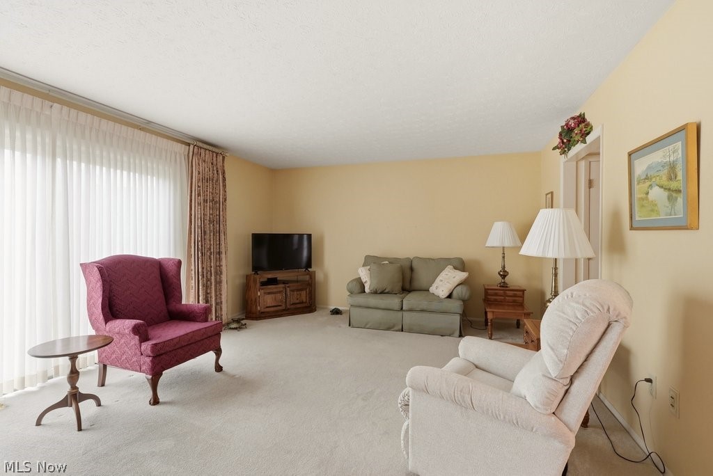 Co-Moor Twnhse Idlewood S Condo - Residential