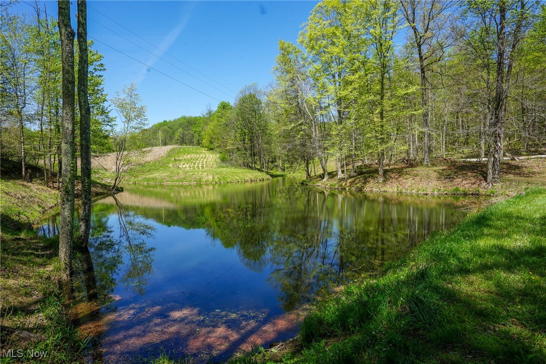 Sealover Hollow Rd, Philo, Ohio image 7