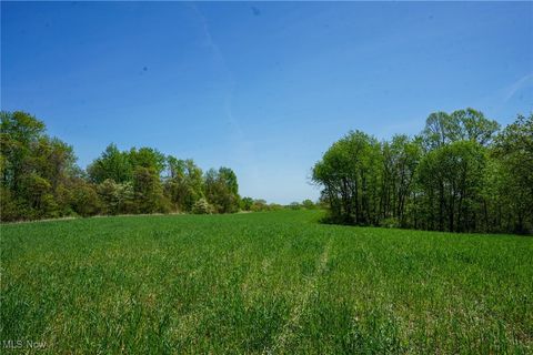 Sealover Hollow Rd Philo OH 43771