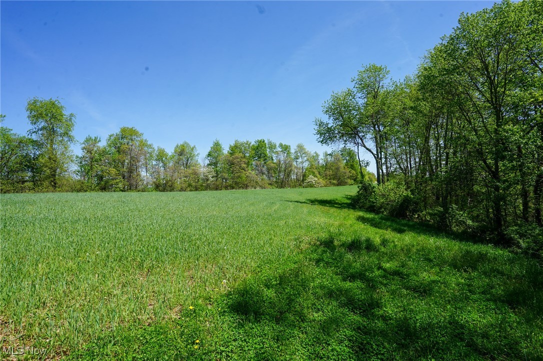 Sealover Hollow Rd, Philo, Ohio image 2