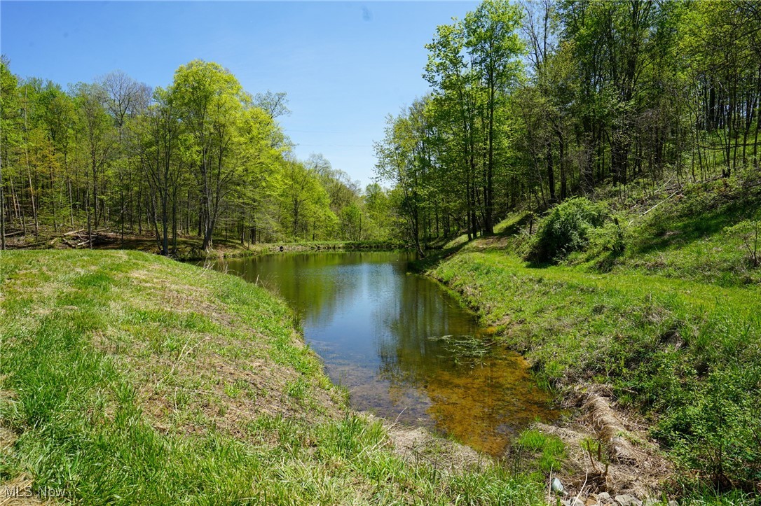 Sealover Hollow Rd, Philo, Ohio image 9
