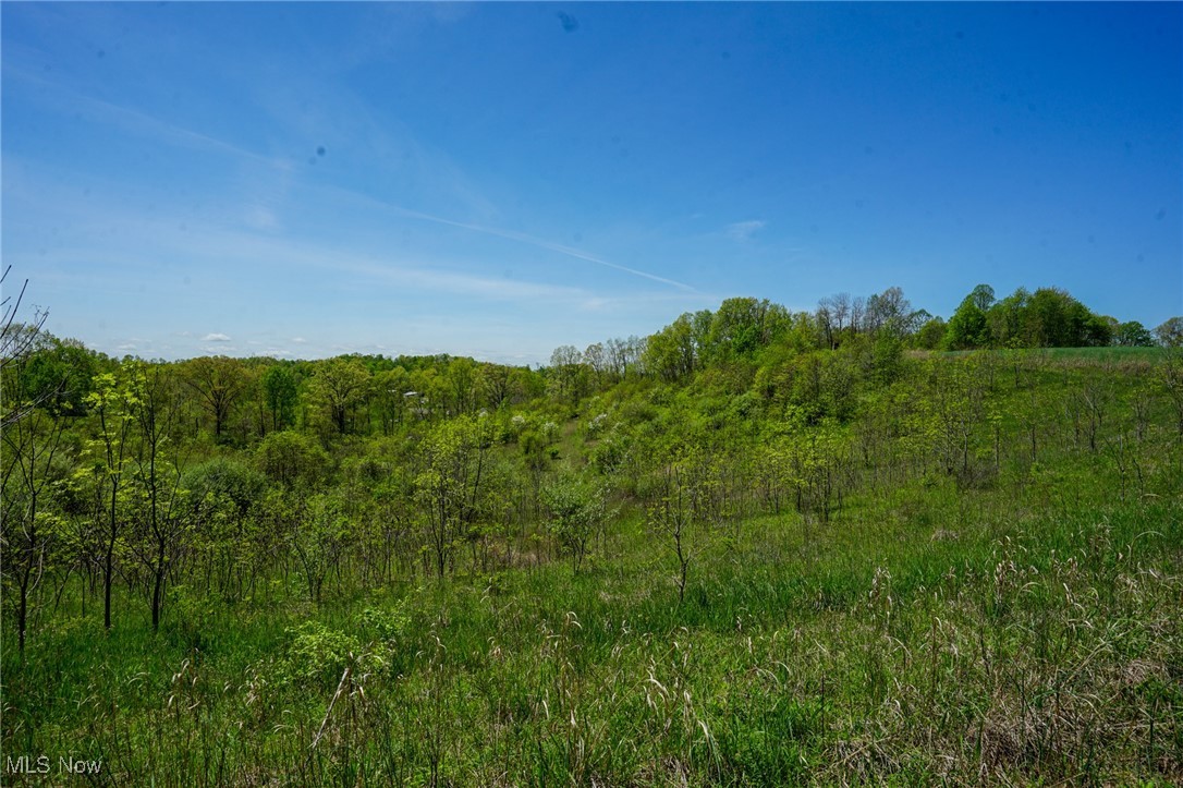 Sealover Hollow Rd, Philo, Ohio image 6