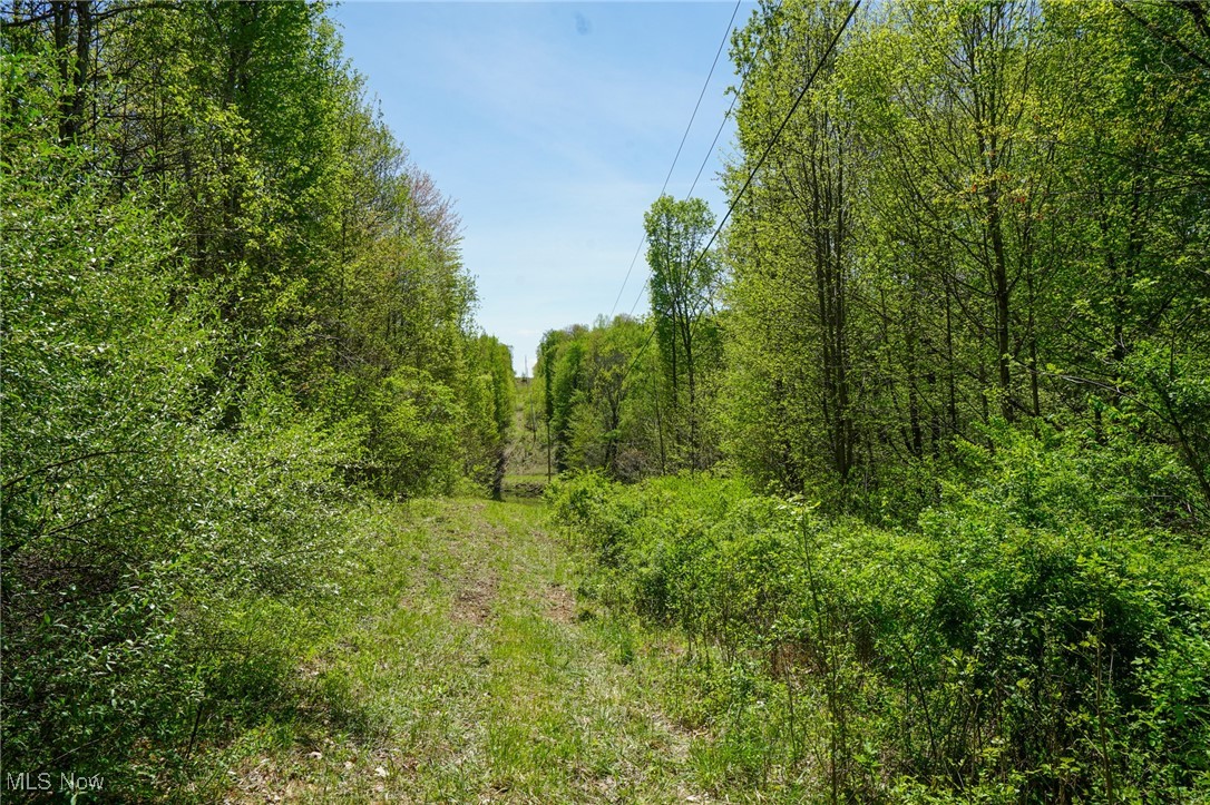 Sealover Hollow Rd, Philo, Ohio image 47