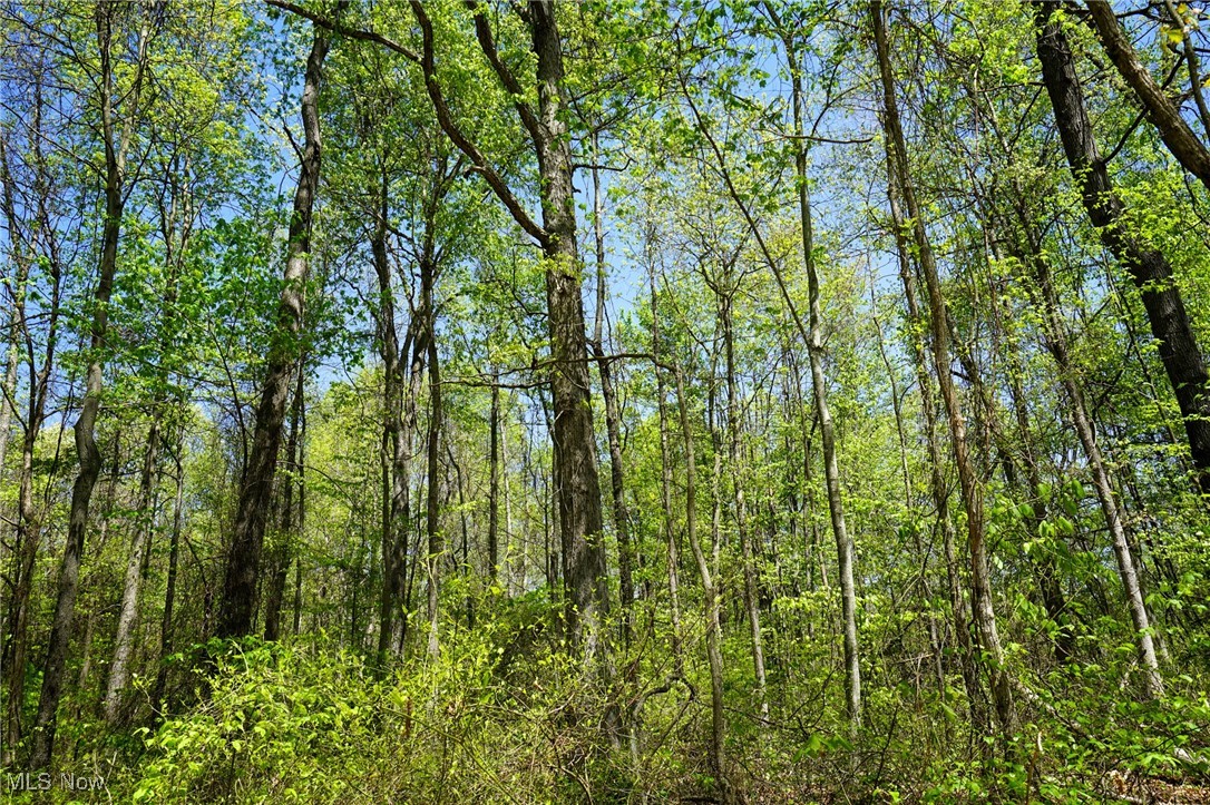 Sealover Hollow Rd, Philo, Ohio image 43