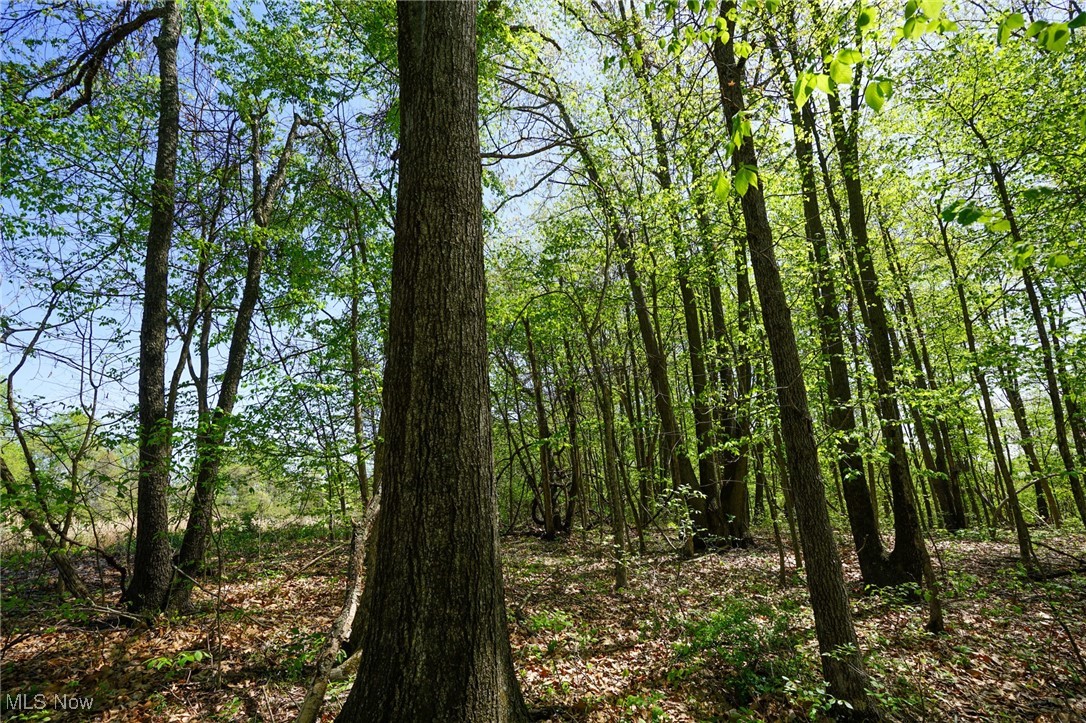 Sealover Hollow Rd, Philo, Ohio image 14
