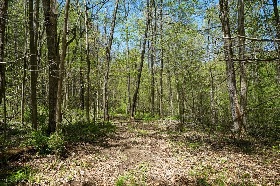 Sealover Hollow Rd, Philo, Ohio image 33