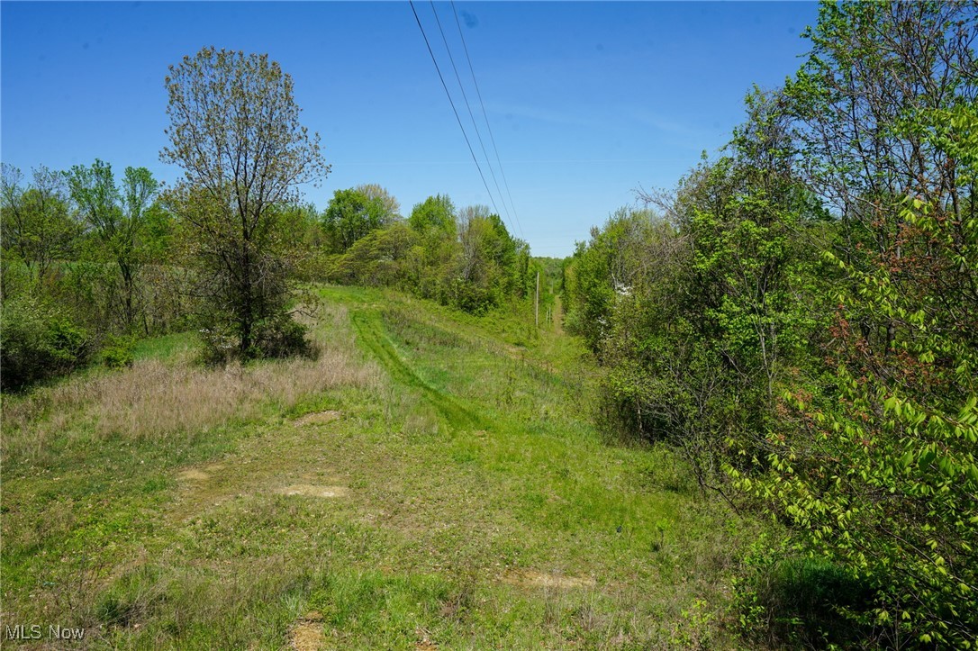 Sealover Hollow Rd, Philo, Ohio image 20