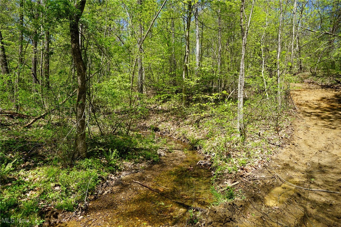 Sealover Hollow Rd, Philo, Ohio image 37