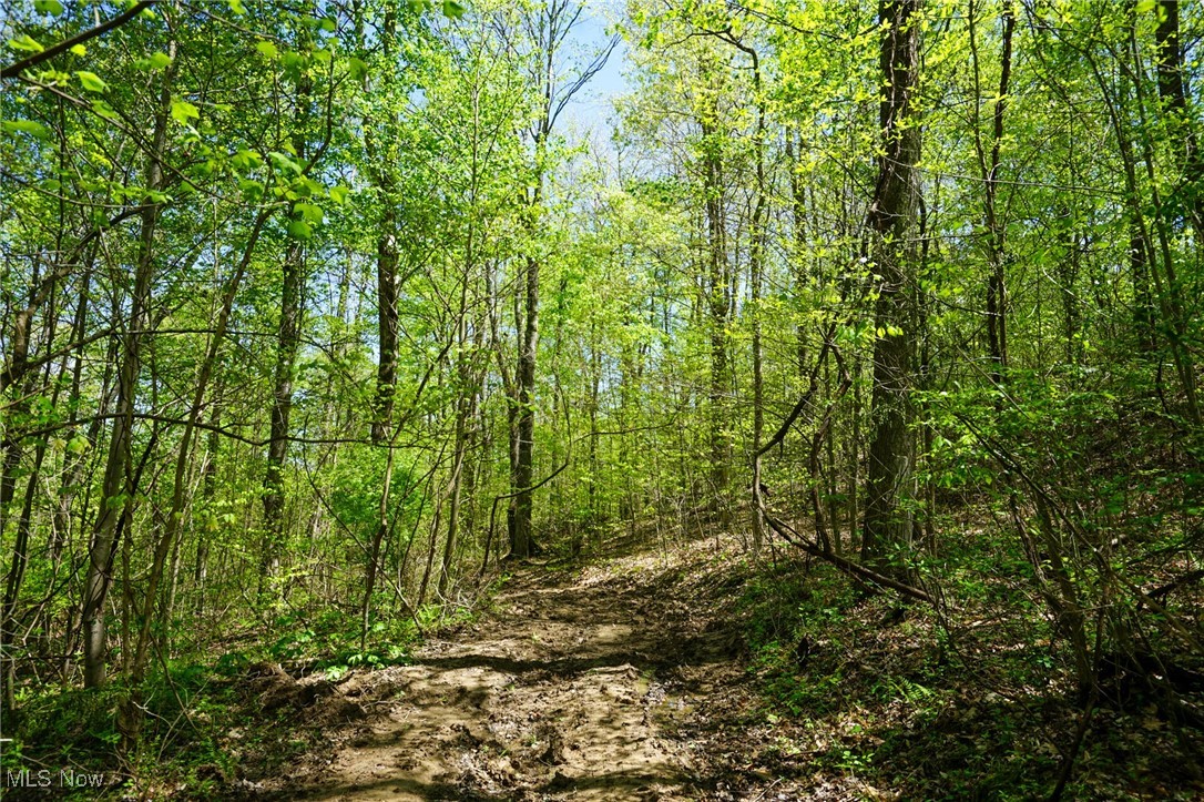 Sealover Hollow Rd, Philo, Ohio image 22