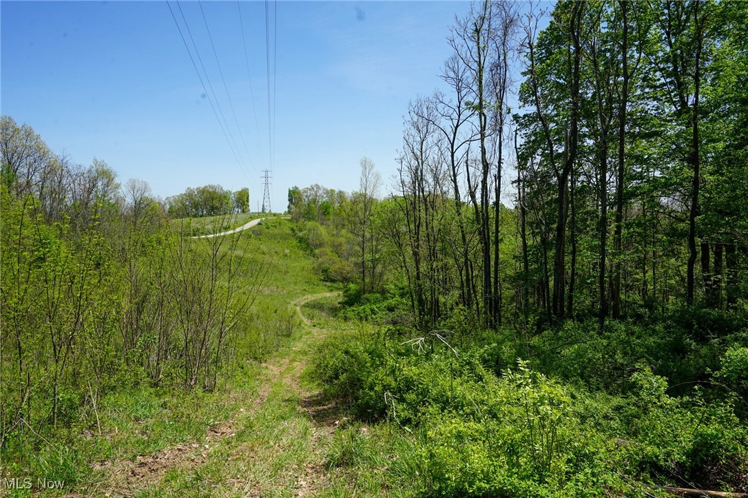 Sealover Hollow Rd, Philo, Ohio image 50