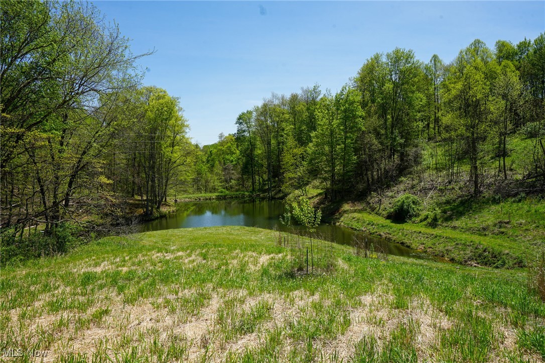 Sealover Hollow Rd, Philo, Ohio image 10
