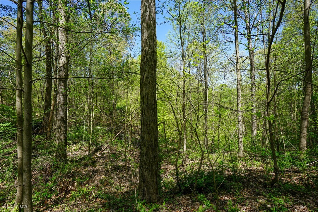 Sealover Hollow Rd, Philo, Ohio image 21