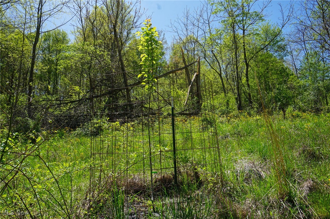 Sealover Hollow Rd, Philo, Ohio image 11