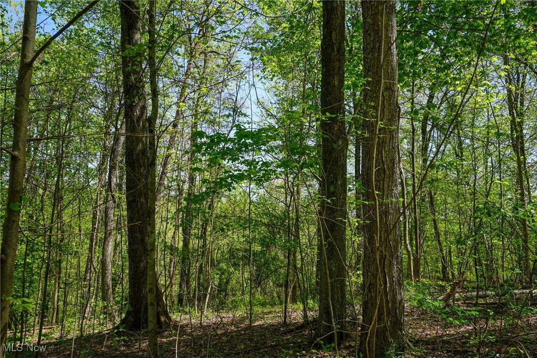 Sealover Hollow Rd, Philo, Ohio image 27
