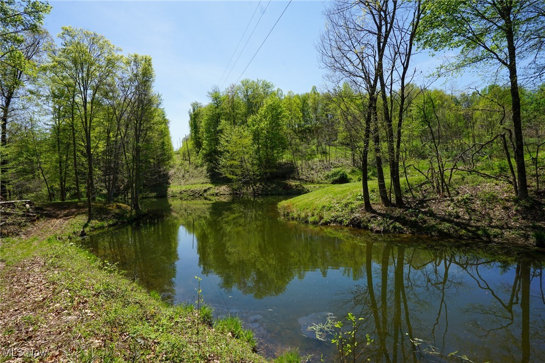 Sealover Hollow Rd, Philo, Ohio image 8