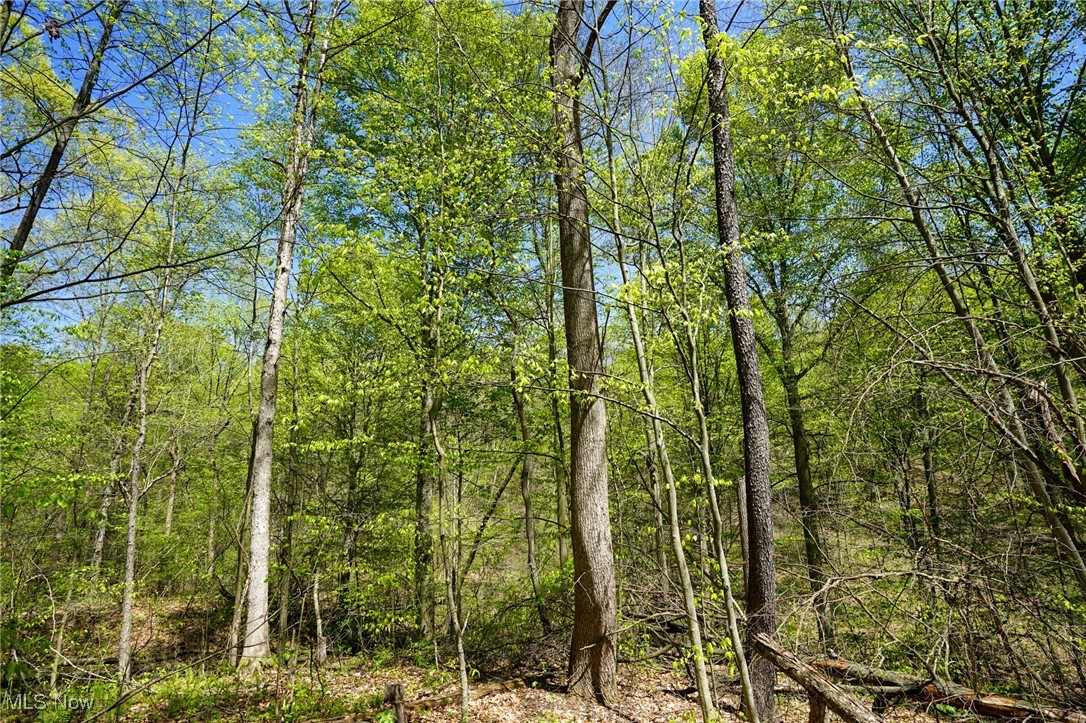 Sealover Hollow Rd, Philo, Ohio image 32