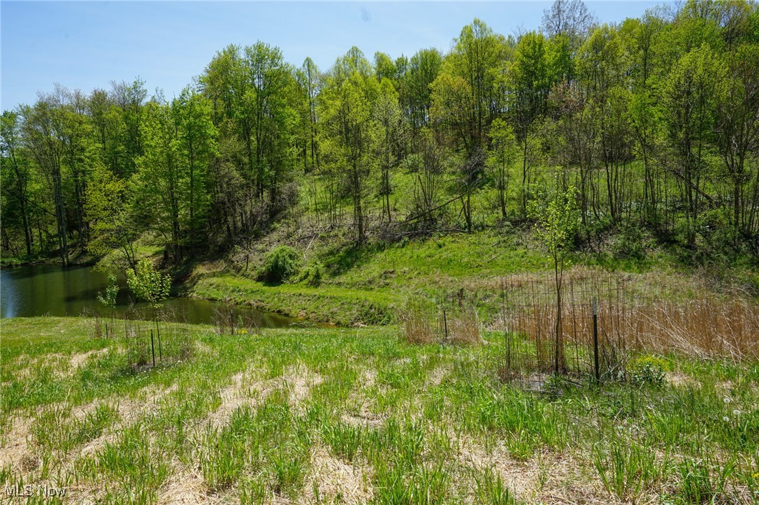 Sealover Hollow Rd, Philo, Ohio image 12