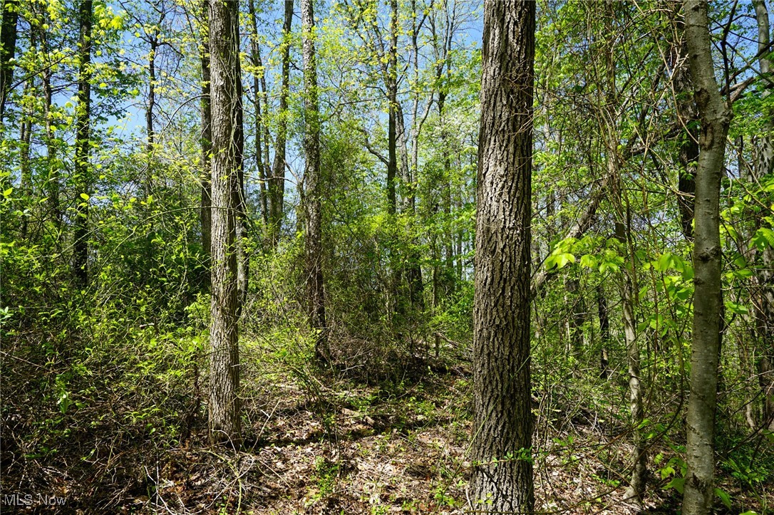 Sealover Hollow Rd, Philo, Ohio image 19
