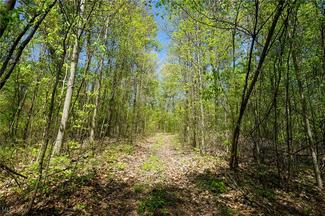 Sealover Hollow Rd, Philo, Ohio image 41