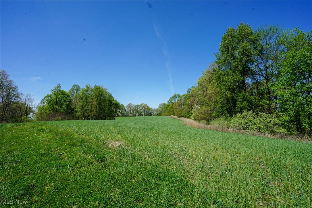 Sealover Hollow Rd, Philo, Ohio image 5