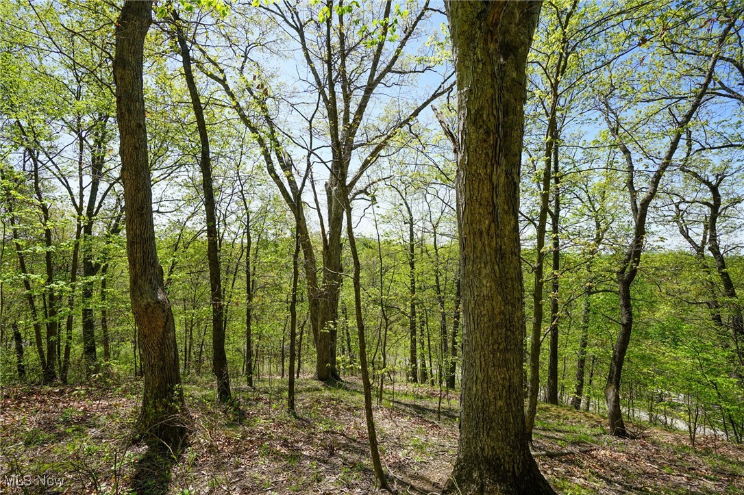 Sealover Hollow Rd, Philo, Ohio image 16