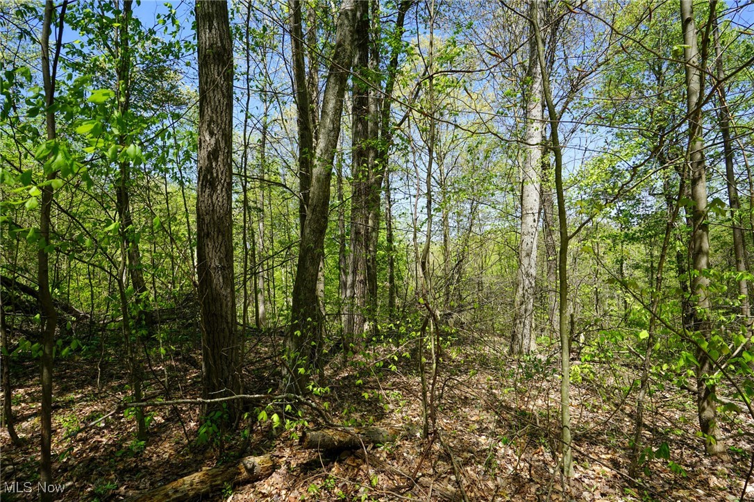 Sealover Hollow Rd, Philo, Ohio image 24