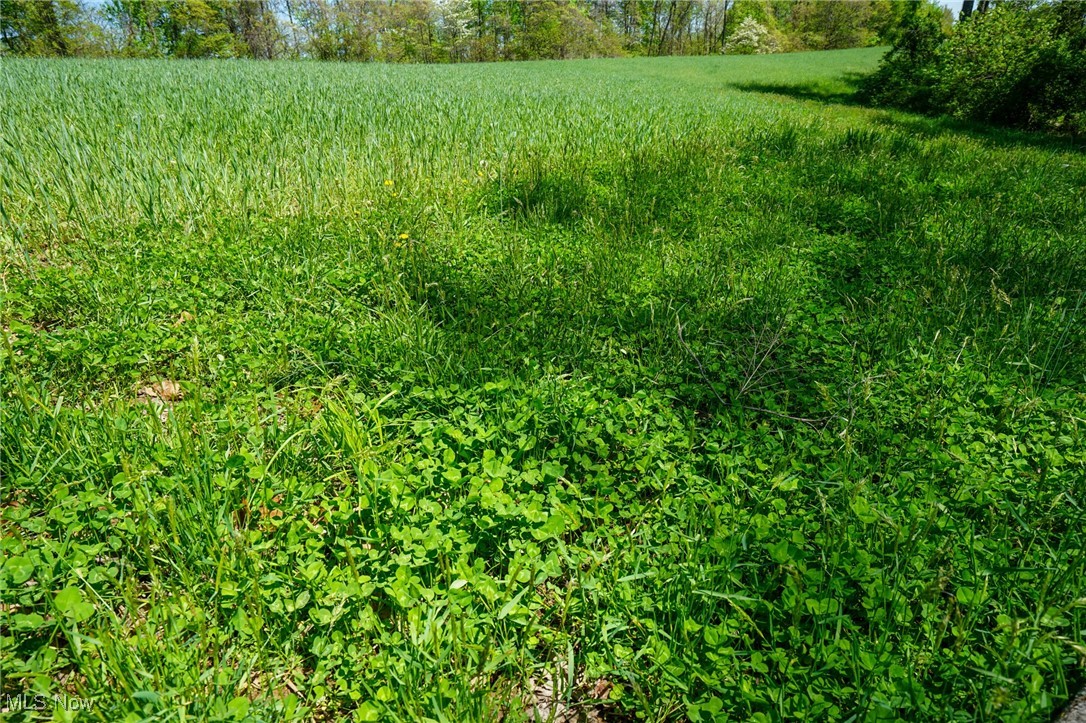 Sealover Hollow Rd, Philo, Ohio image 3