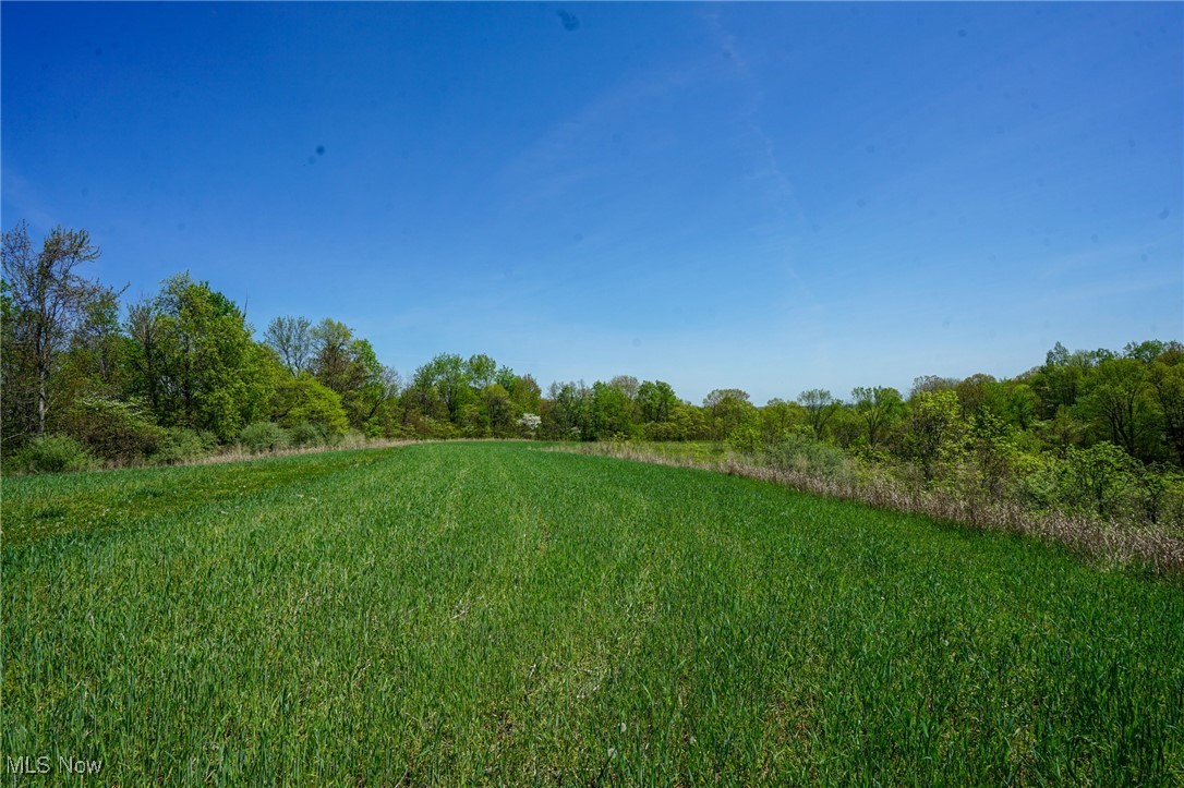 Sealover Hollow Rd, Philo, Ohio image 4