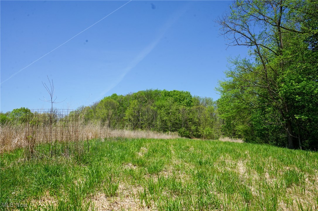 Sealover Hollow Rd, Philo, Ohio image 13