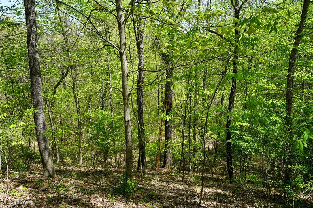 Sealover Hollow Rd, Philo, Ohio image 18